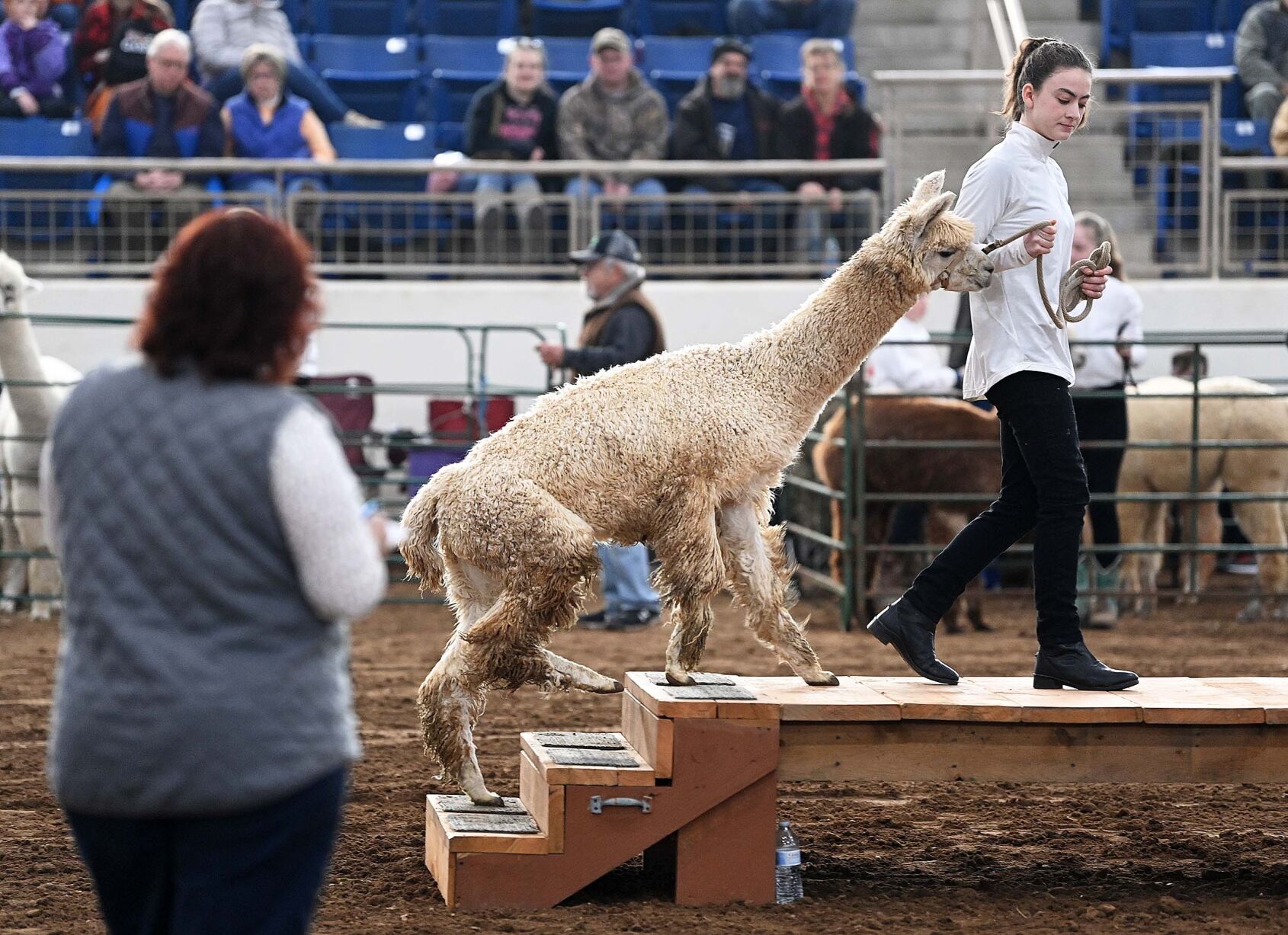 PA Farm Show Tuesday 5.JPG